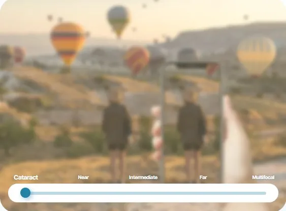 Screen capture 2026-08-25 160314
