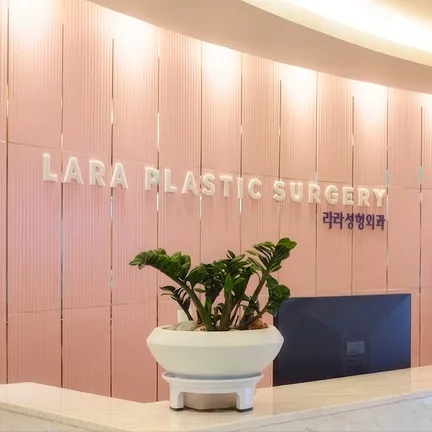 Lara plastic surgery
