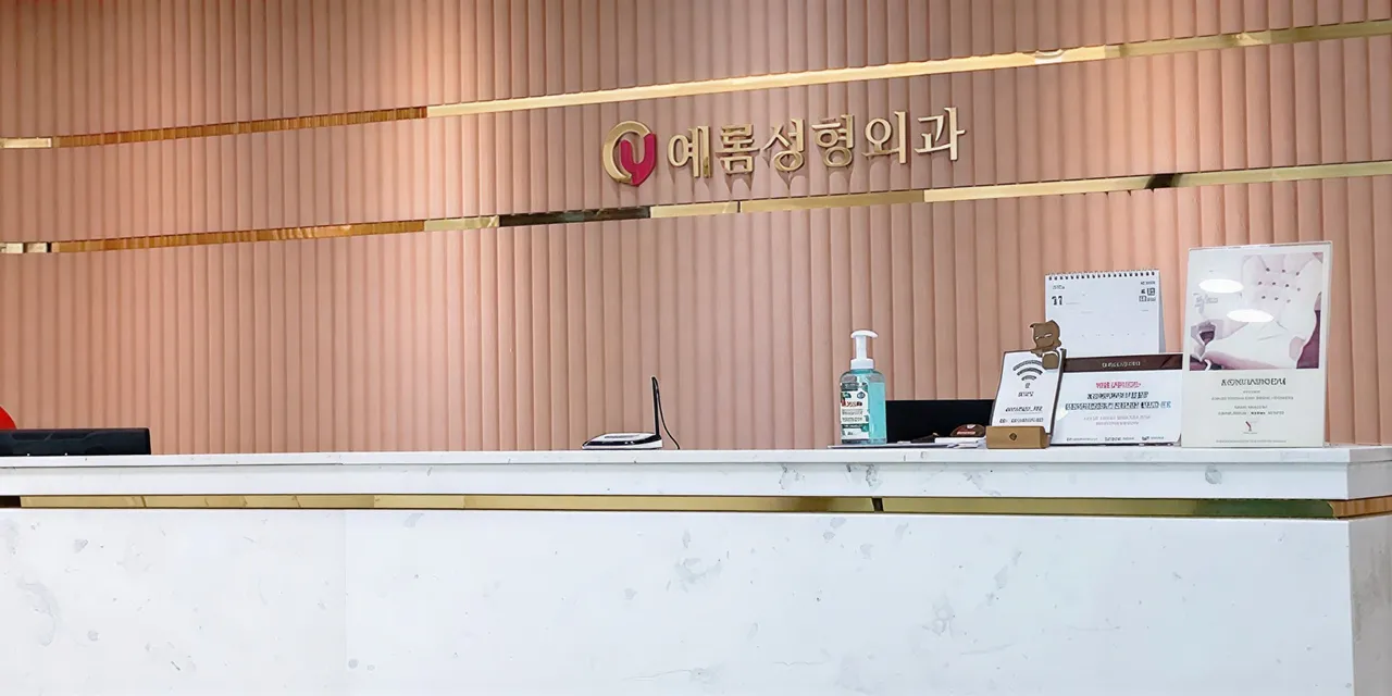 Yerom Plastic Surgery 1