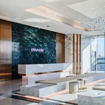 BRAUN PLASTIC SURGERY