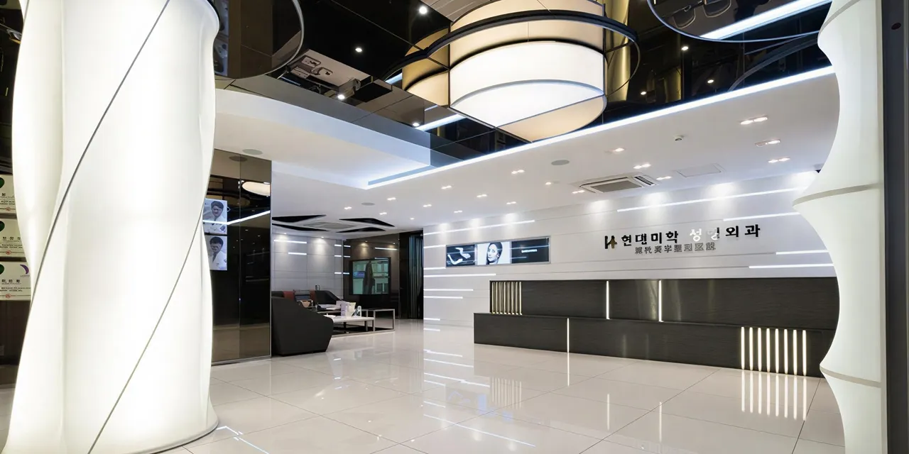 HYUNDAI AESTHETIC PLASTIC SURGERY 1