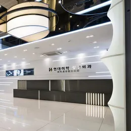 HYUNDAI AESTHETIC PLASTIC SURGERY